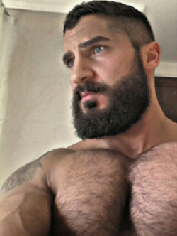 wrestlehead:  Doumit Ghanem  Mounds of muscles and an awesome hairy chest - Woof