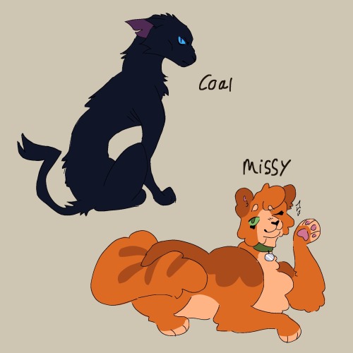 Started Working On My Warrior Cats Story. Here Are All The Important Characters That Have Speaking Roles!