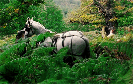 dianasofthemyscira:You may only call me “Mrs. Darcy”… when you are completely, and perfectly, and in