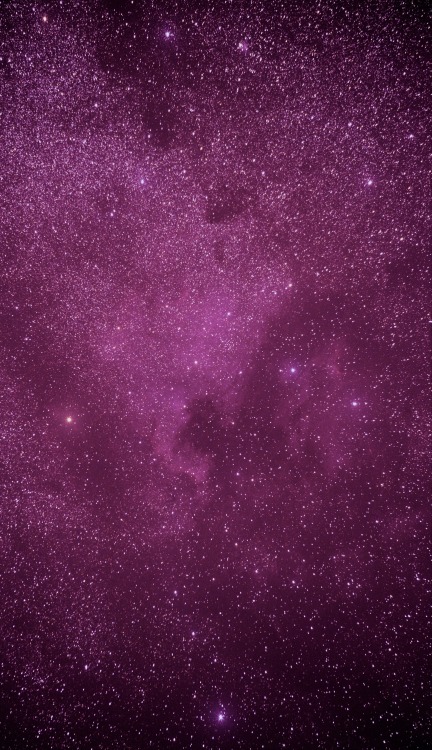 thedemon-hauntedworld: North American Nebula Credit: Glen Wurden