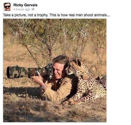 thefingerfuckingfemalefury:  unclefather:  nah that cheetahs like “U gotta adjust