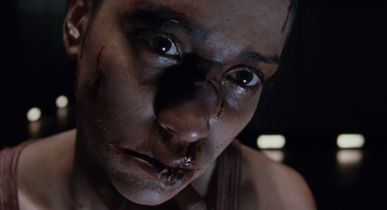 cleofisrandolph:Martyrs (2008) dir. Pascal Laugier, cinematography by Stéphane