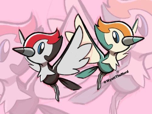 wyattthenerd:  I’m gonna catch a Pikipek and nickname it Pearl! 