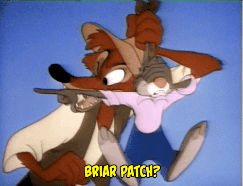 XXX gameraboy:Briar patch? Briar patch! Song photo