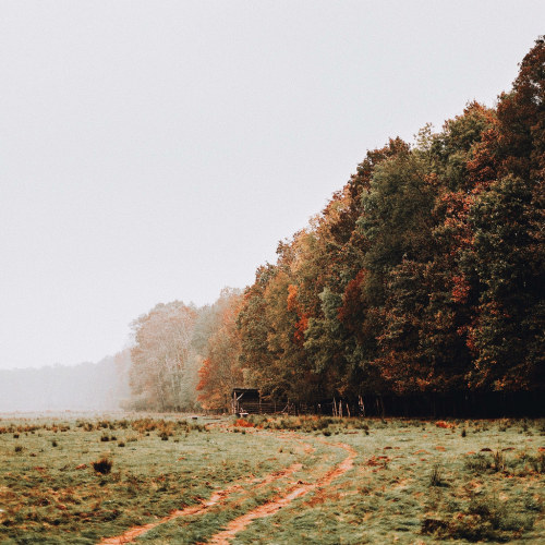 hyperb0rean:almost autumn by ines perkovic