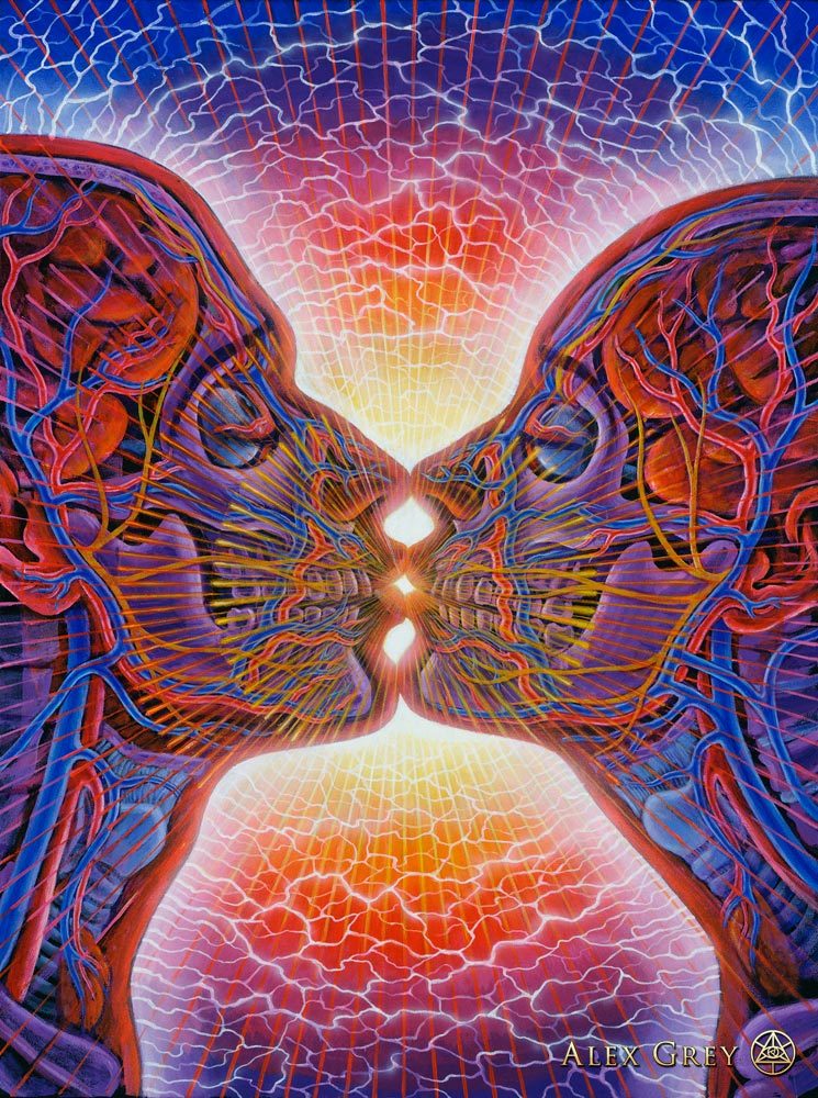 metaphysical-ataxia:  Alex Gray paintings: “Praying”, “The Kiss”, “Kissing”