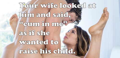 The Most Intense Feeling Of Power A Bull Can Have Over A Wife.