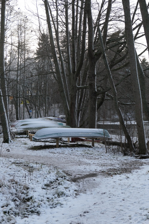 Winter dock