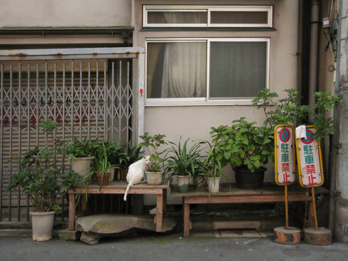 uroko:Tokyo Plant Pots 東京植木鉢