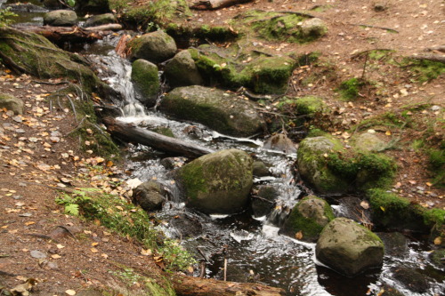 at Nuuksio National Park, EspooWe had amazing views on the lakes when we were hiking on a trail thro