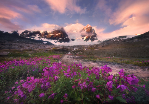 awkwardsituationist:  photos by marc adamus along the west coast of north america, from california and washington state up to british columbia and alaska. 