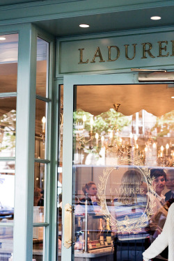 lacewings:  Ladurée Paris (via)