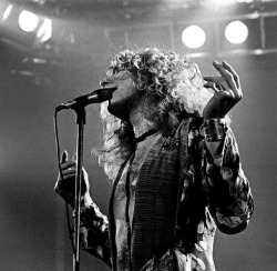 soundsof71:  Led Zeppelin: Robert Plant,