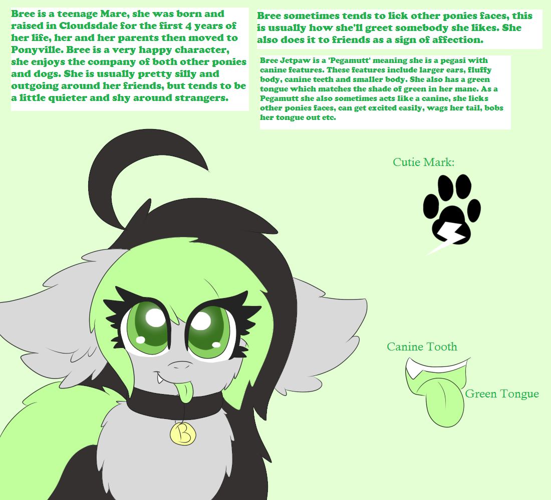 askbreejetpaw:  Bree’s Reference Sheet for 2014! :3 #1 What makes a Pegamutt different