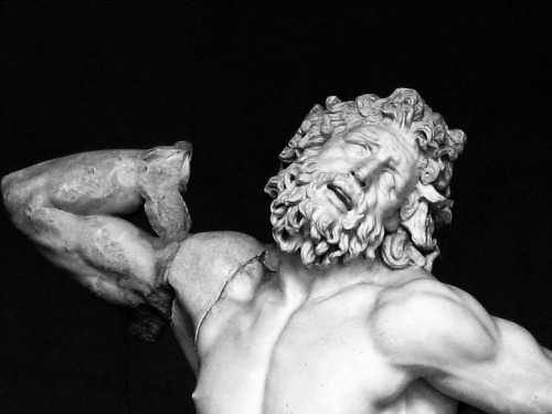 ganymedesrocks:Thank You for a magnificent post of details of the statue of Laocoön and His Son