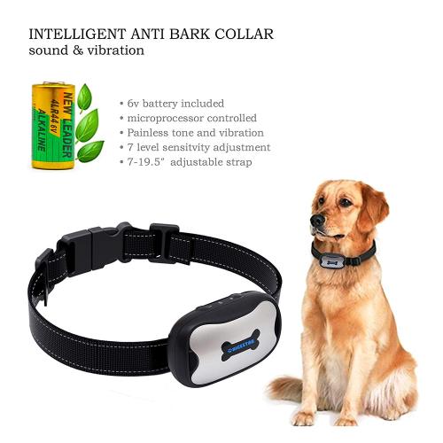 whirelez:Bark Collar, Humanely Stops Barking with Sound and VibrationThis collar is amazing. I have 