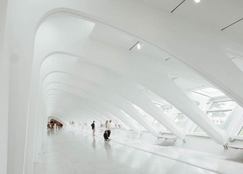 hallway, arches, skylights - they backlit the glass art displayed there #milwaukeeartmuseum #calatra