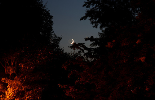 astronomyblog:Conjunction: Venus and MoonImage credit: Roger Hutchinson & Michael DeWoody