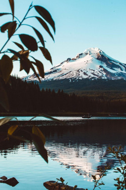 theencompassingworld:  lsleofskye:  Mount Hood, Oregon  Explore The World Around Us