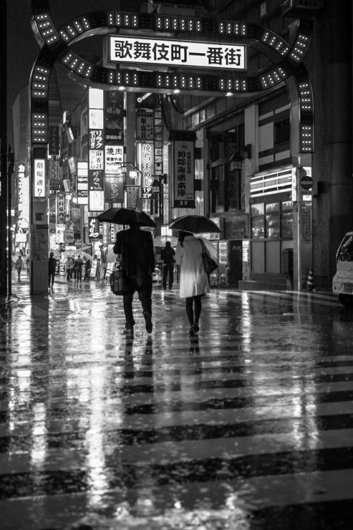 Rainy night        Instagram / Facebook / Twitter