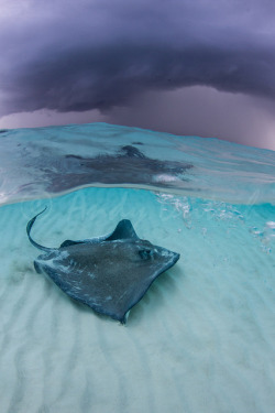 Stormy Skies over Stingray City | S.L.Δ.B.