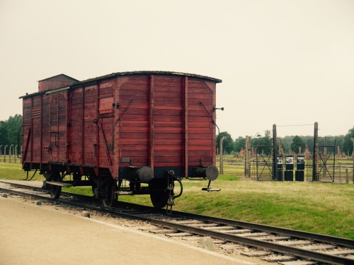 revolucion-es-poesia:  Hoy he tenido la -triste- oportunidad de visitar el campo de exterminio de Auschwitz, situado cerca de Cracovia, al sur de Polonia. Desde su apertura en 1940 hasta su liberación en 1945 gracias al ejército soviético, los nazis