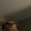 jwonm