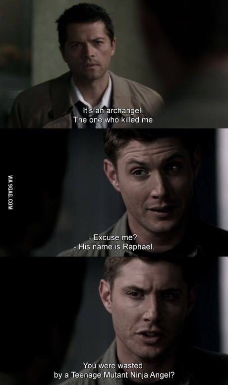 Fandom Life
