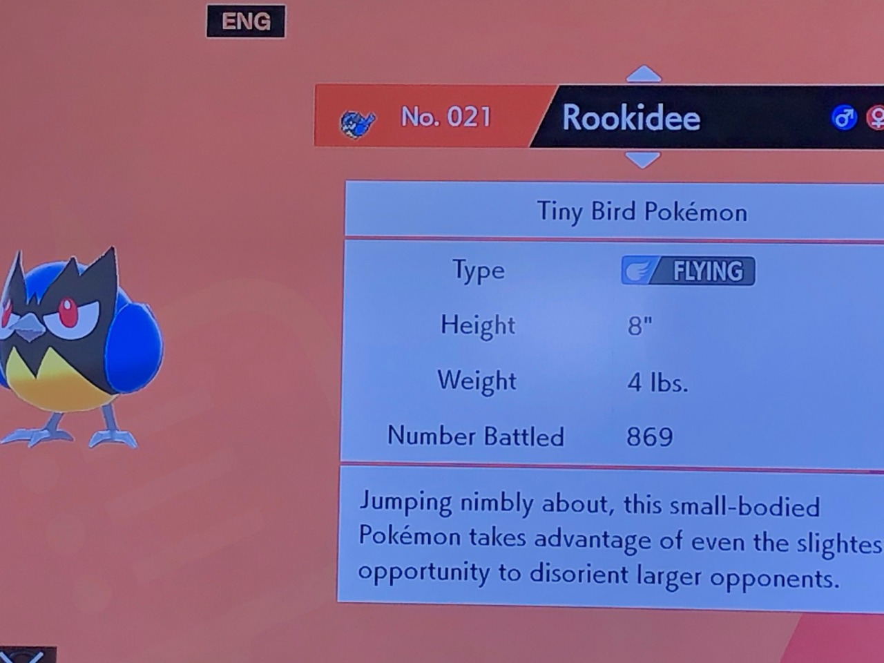 Shiny Rookidee Tumblr Posts Tumbral Com Shiny Rookidee Tumblr Posts Tumbral Com