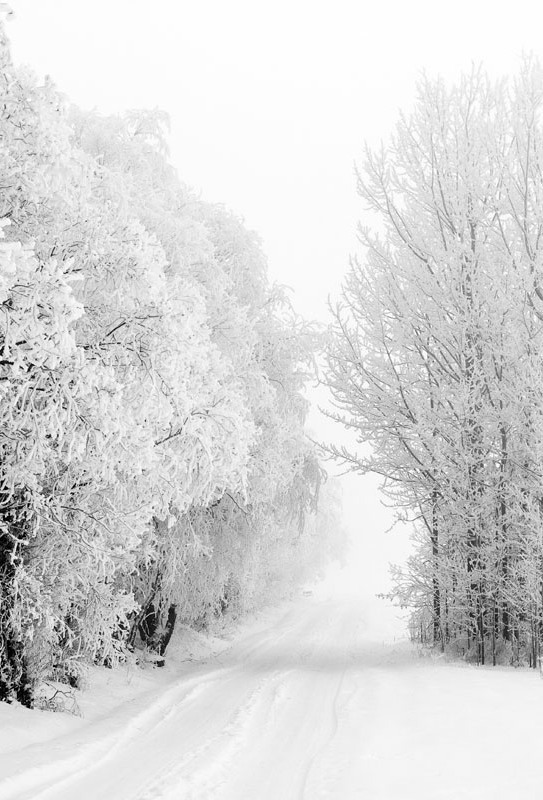 0rient-express:  Road to Oblivion III (by Johan Klovsjö). 