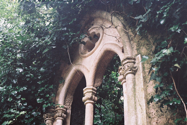 wild-nirvana:  ॐ My Spiritual World☽ 