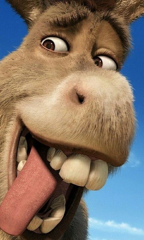 Burro (Shrek)