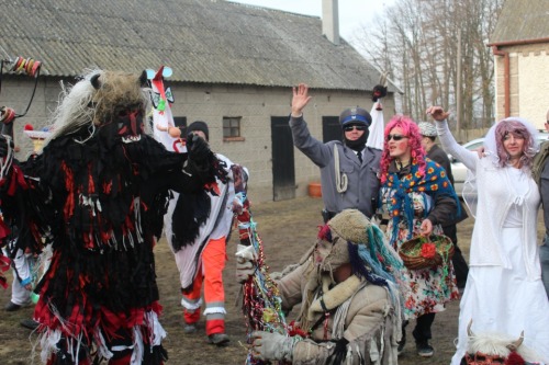 lamus-dworski: Kolędnicy in Poland: custom of ‘chodzenie z kozą’ (walking with goat