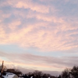 pseudologicals:there’s 3 feet of snow on the ground, the sky is going wild, and everything is tinted vaguely pink