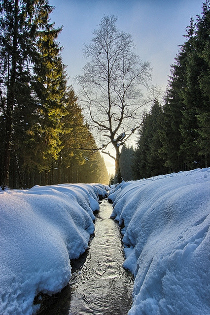 River to the sun, Ardennes / Belgium (by NicVW).