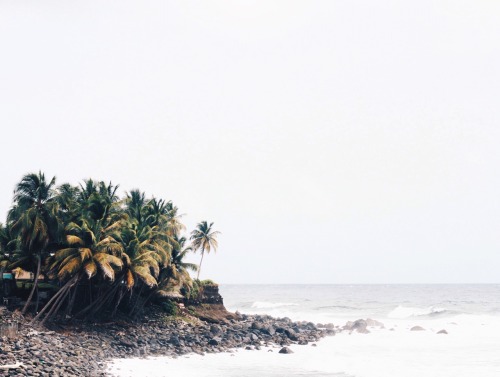 wildwildwestindians:  wwwild
