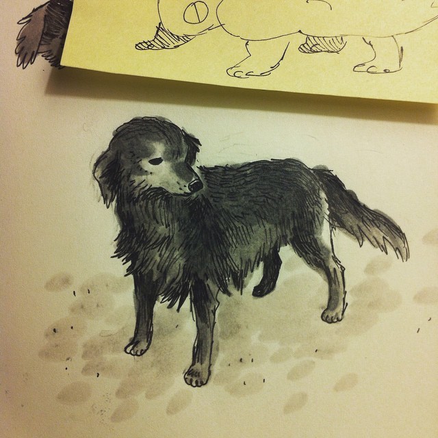 empartridge:  one more Yellow Line post. Finn’s revised dog-who-looks-suspiciously-like-Question-Hound