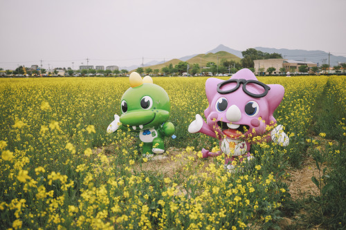 2022-04-23rape flowersCanon EOS R3 + RF15-35mm f2.8L ISInstagram  |  hwantastic79vivid