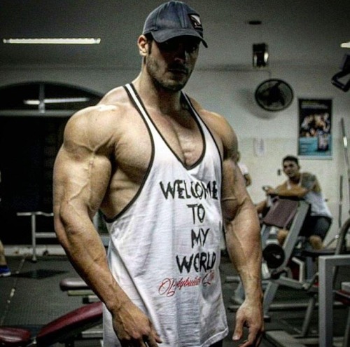 builddudebuild:  Felipe Mattos 