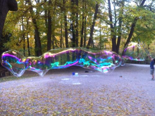 The other day in the park. #englischergarten #Munich #münchen I went through my photos today on my w