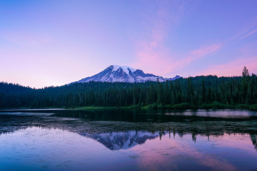 90377: Mount Rainier by Lianne Morgan