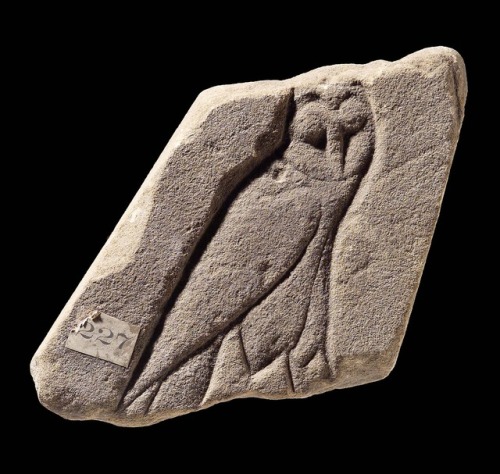 ancientanimalart: Fragment of wall-decorationEgyptian (no date given)“It is light yellow, coar