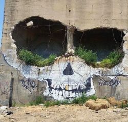 alien-highgoddess: sixpenceee:  Street graffiti making use of the environment.   I’m in love 