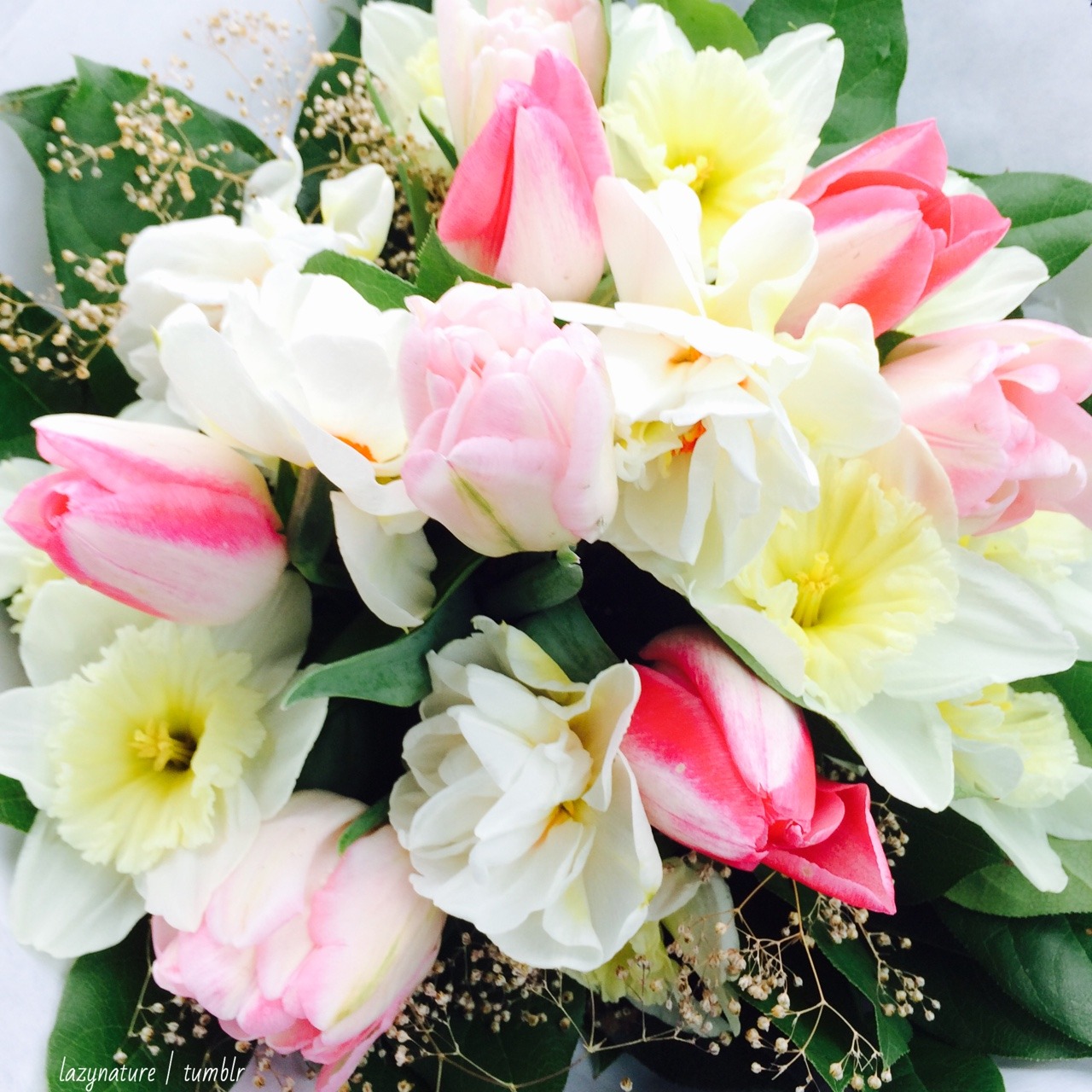 lazynature:  went to the market this weekend &amp; the flowers were so pretty!