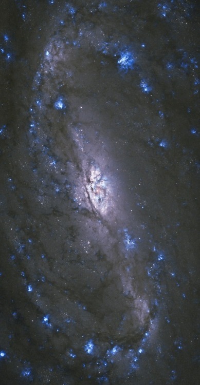 sailllboat: NGC 2903 Credit: NASA/Hubble, Judy Schmidt