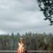 xscape:Photo by Gantas Vaičiulėnas 🔥 