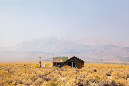 The 395 Shack.