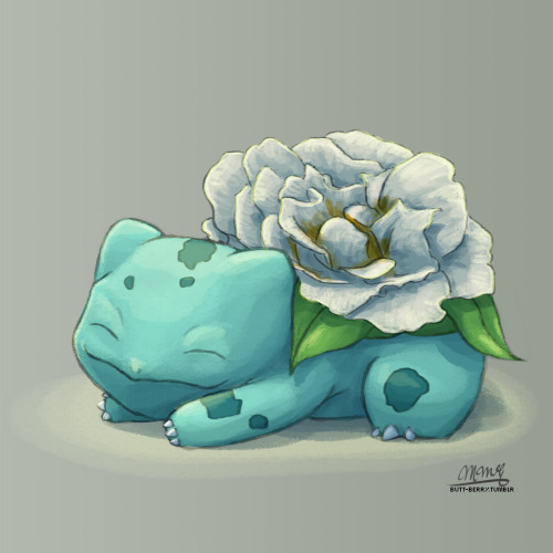 butt-berry:  Roses 