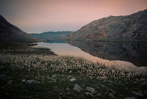 floralls:   Kalaallit Nunaat (Greenland) By Carmen Marchena