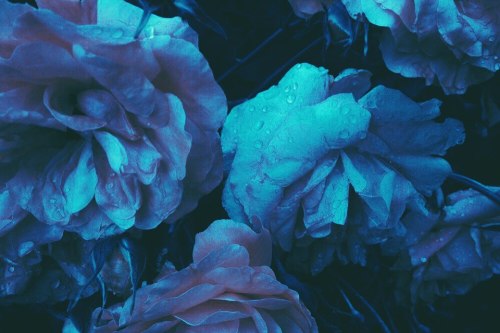 bluedeepeyes: | all blue blog |